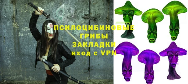 сатива Алексеевка