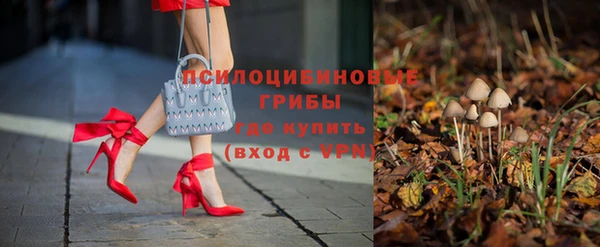 сатива Алексеевка